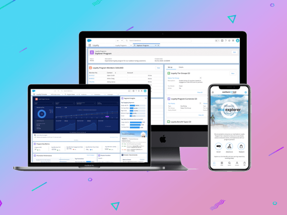Salesforce loyalty management service b2c b2b