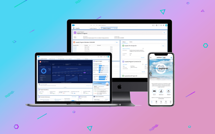Salesforce loyalty management service b2c b2b