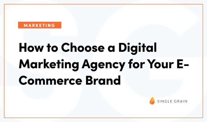 Choose google ads digital marketing agency