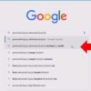 Search box optimization pros and cons