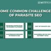 Parasite seo what is it