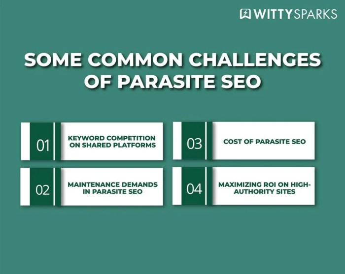 Parasite seo what is it