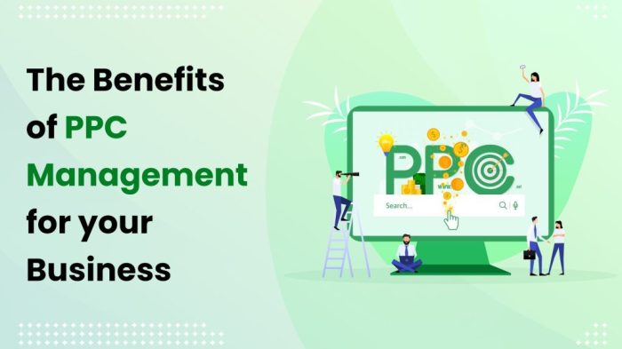 How much should ppc management cost