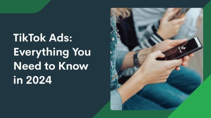 Tiktok meta advertisers q12025