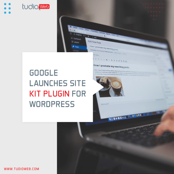 New wordpress plug in site kit integrates google tools