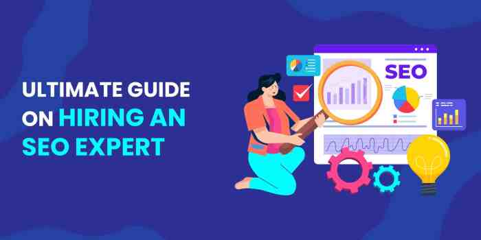 Enterprise seo expert knowing when how to hire the perfect professional