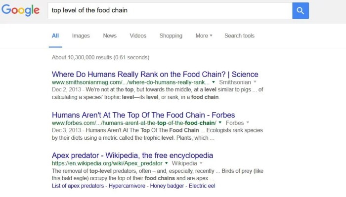 Search rank results and rank brain