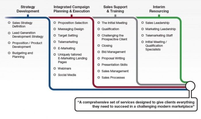 How business development roles can leverage marketing to close the sale