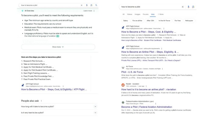 Optimizing for Google’s AI Overviews: A Marketer’s Guide Google ai overviews search clicks fell report