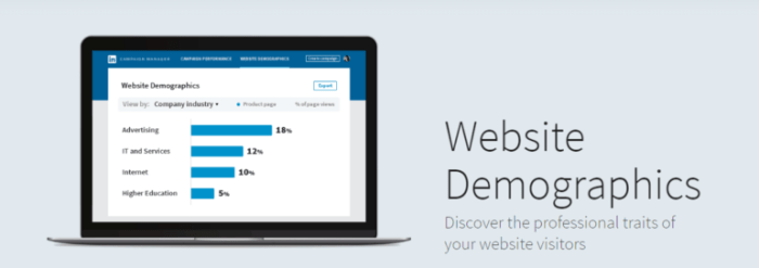 Linkedins new tool website demographics