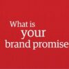Elements of a successful brand 4 brand promise1