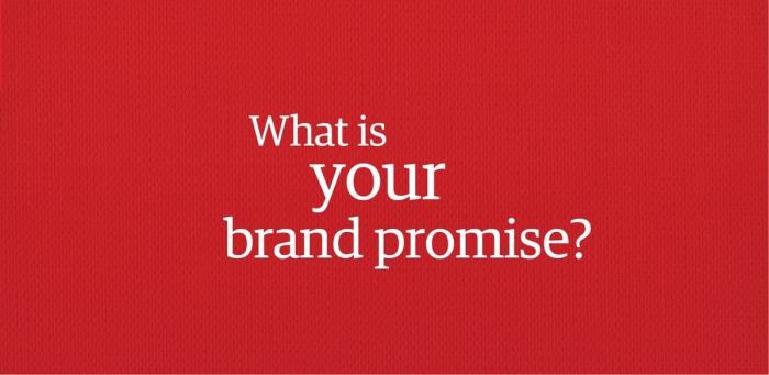 Elements of a successful brand 4 brand promise1