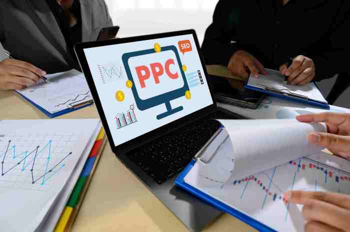 How much should ppc management cost