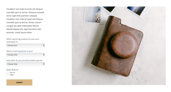 How to create a survey in wordpress