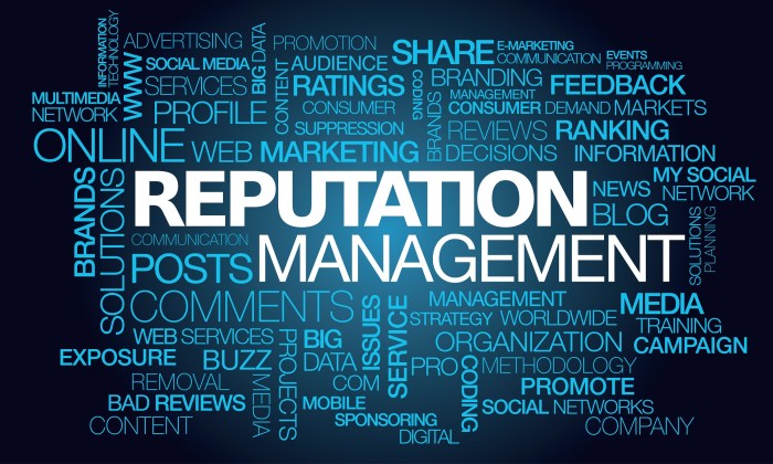 Online reputation management orm