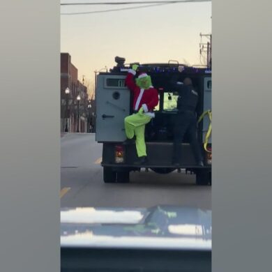 Grinch got website traffic