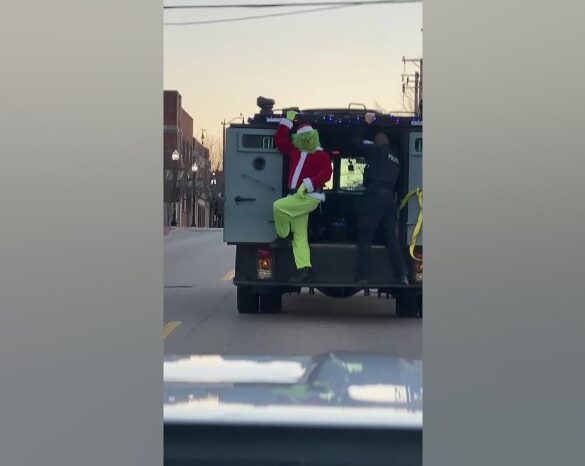 Grinch got website traffic