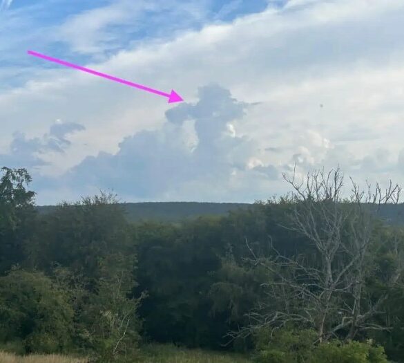 Storm clouds google now reach america