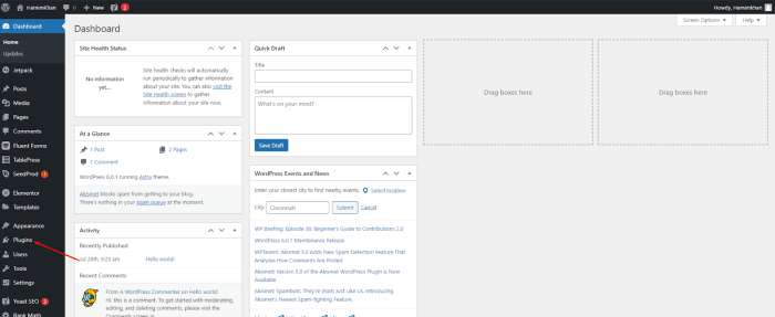 How to install wordpress importer plugin