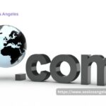 Wordpress offers new 100 year domain name registrations