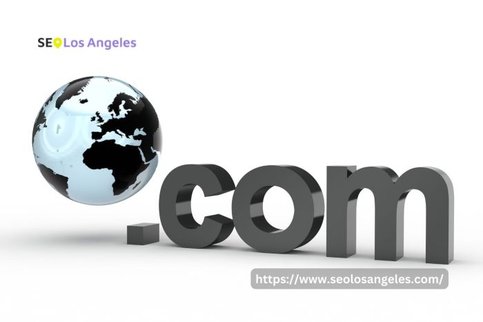 Wordpress offers new 100 year domain name registrations