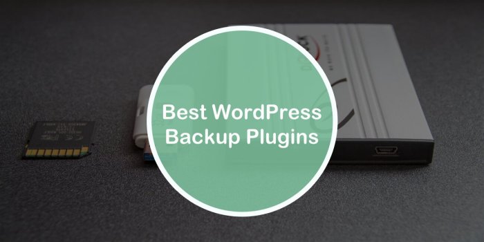Best wordpress backup plugins