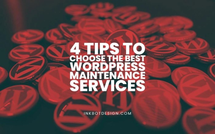 Best wordpress maintenance and management services