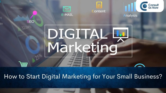 Things to consider before starting a digital marketing campaign for small businesses