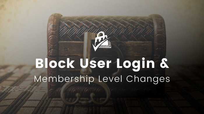 How to block a wordpress user without deleting their account