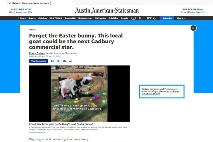 5 actionable lessons the easter bunny can teach you about integrated marketing communications