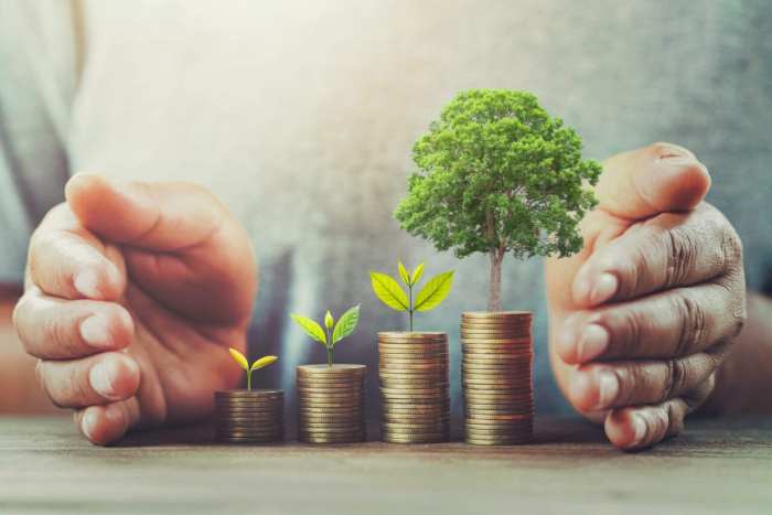 5 things every managing partner must do to drive organic growth