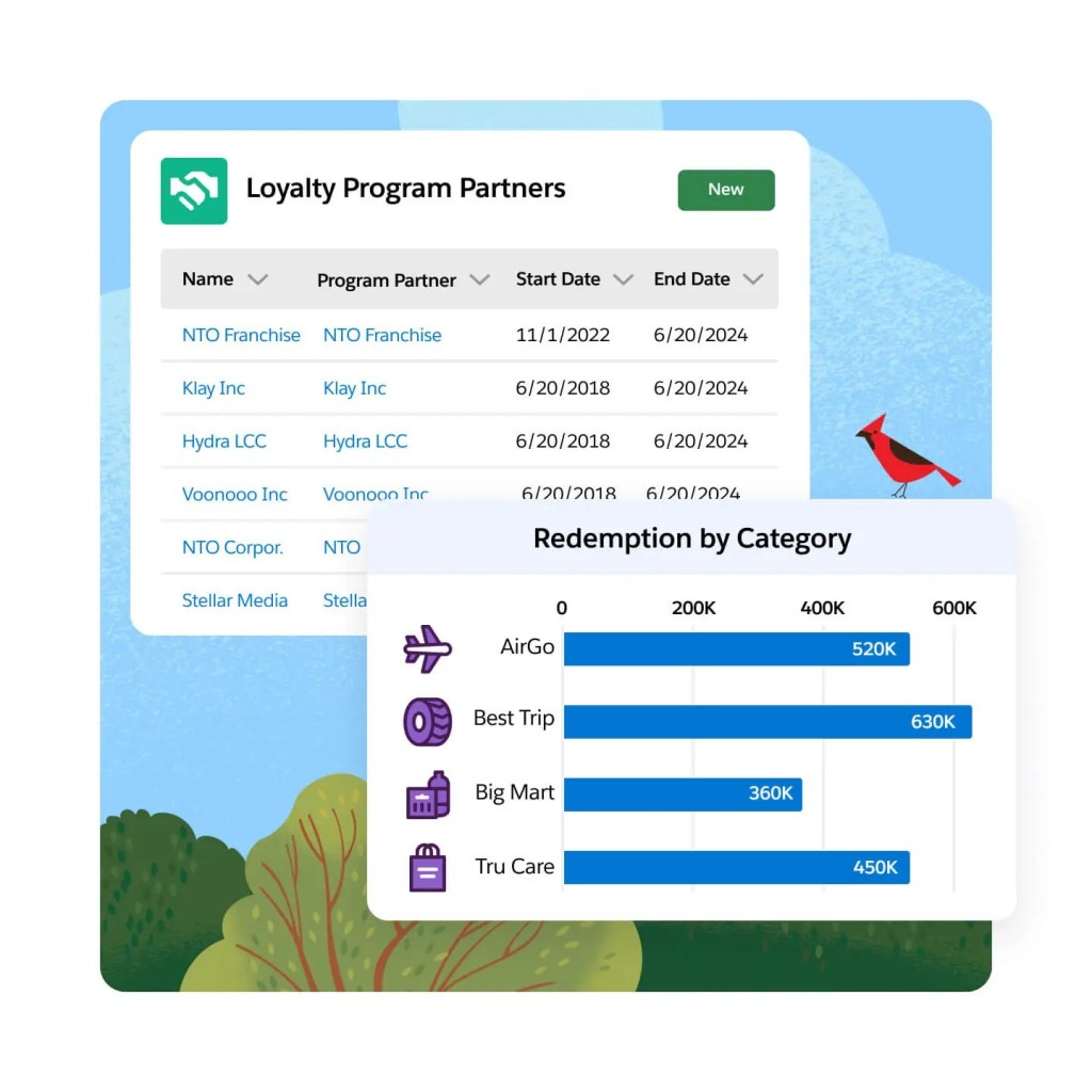 Salesforce loyalty management service b2c b2b