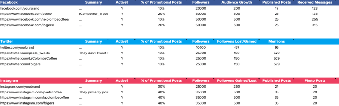 Social media competitor analysis