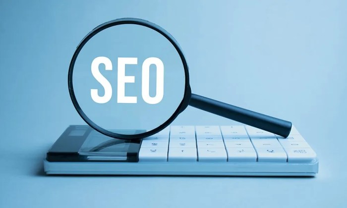 Justify make business case for seo budgets