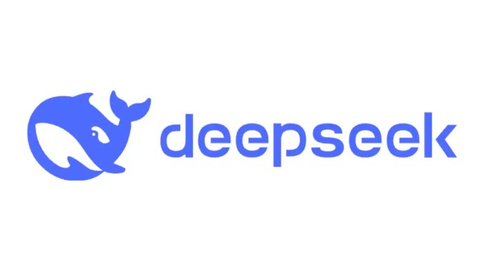 Deepseek terms make users liable for companys travel expenses