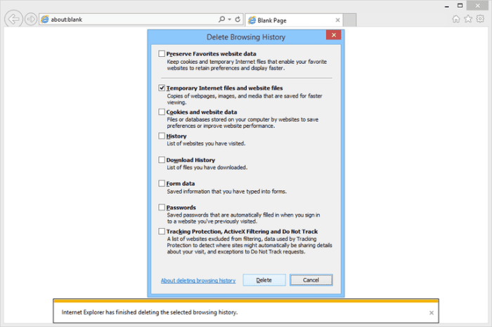 Microsoft internet explorer cache