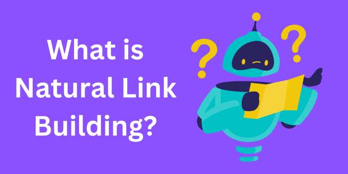 Natural link building 101