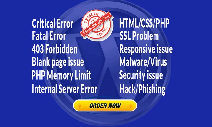 How to fix the critical error in wordpress