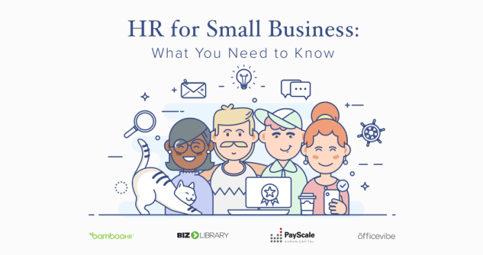 Top 3 tips to setup hr for your small business