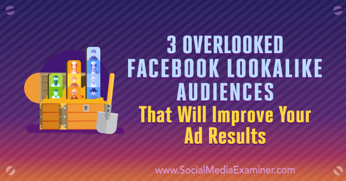 Improve facebook ads campaign lookalike audiences