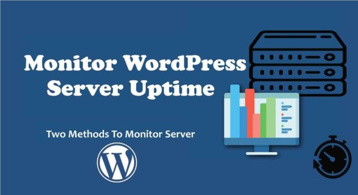 How to monitor your wordpress website server uptime