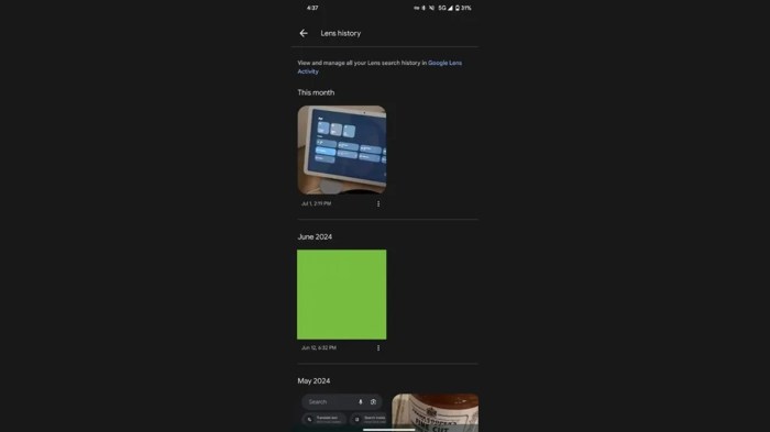 Visual search and google lens