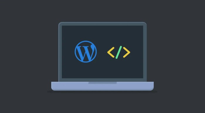 How to easily add custom code in wordpress
