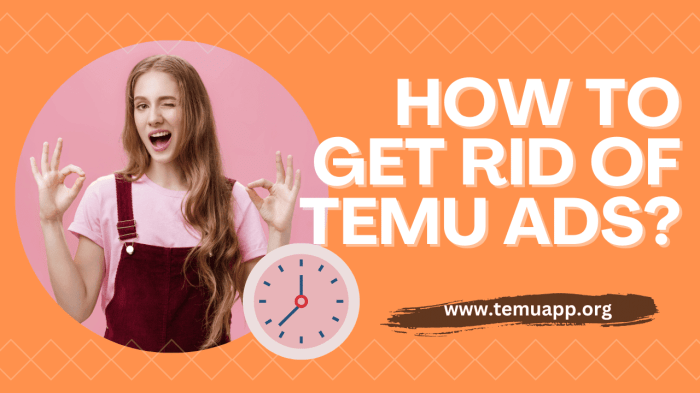 Temu turned off ads what happened