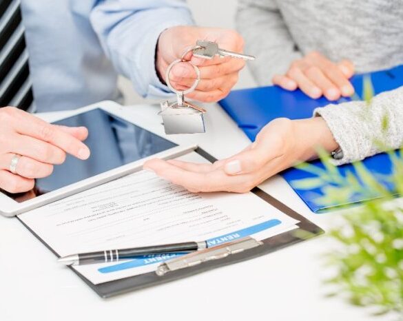 How to secure a loan for pest control companies