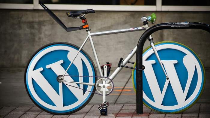 How to use wordpress multisite to create website subdirectory