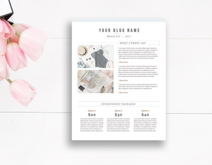 How to set up a media kit page in wordpress