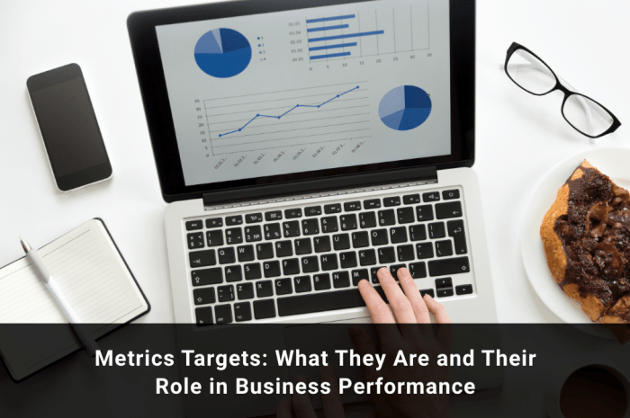 Metrics targets and their role