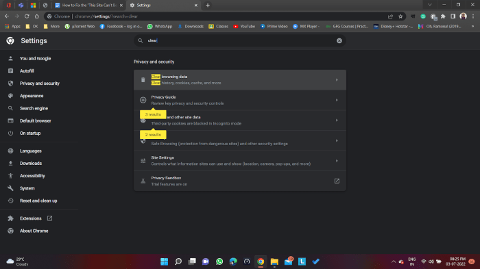 How to easily fix this site cant be reached error in wordpress