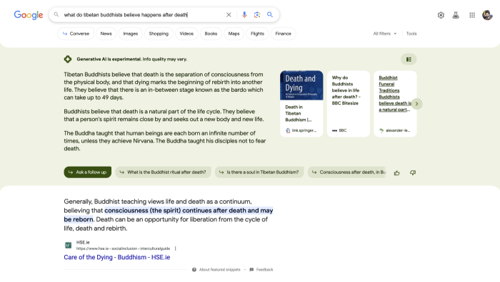 Google ai mode us searchers